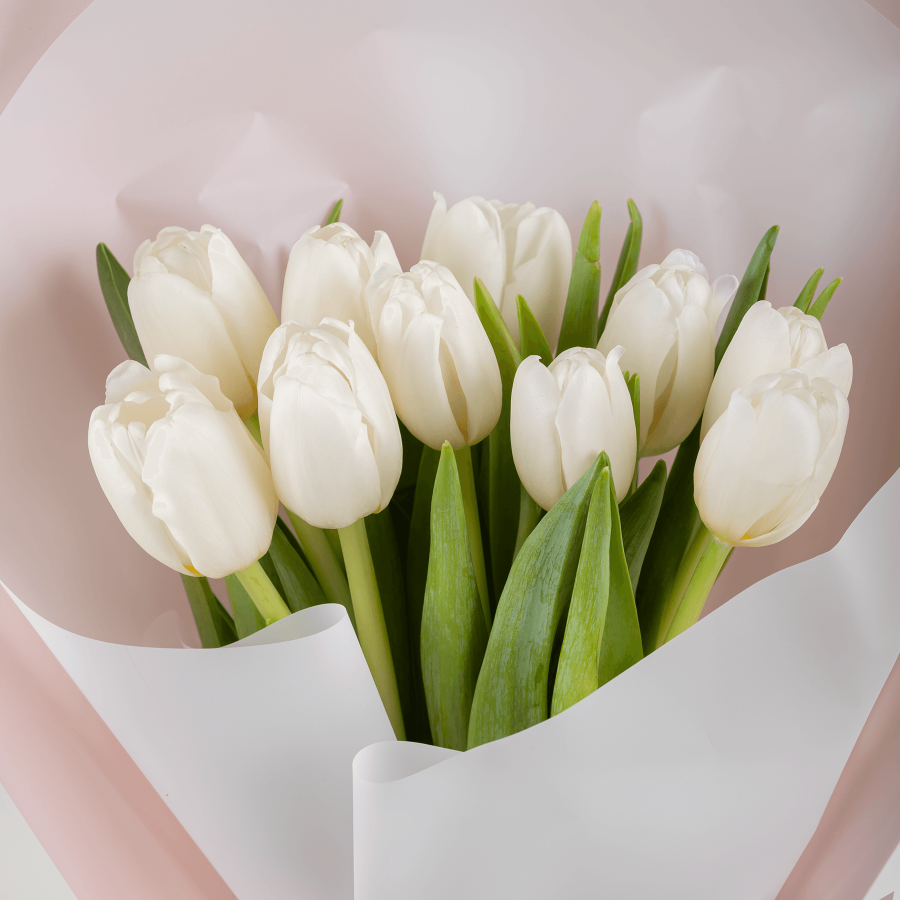 10 Orange Roses Bouquet