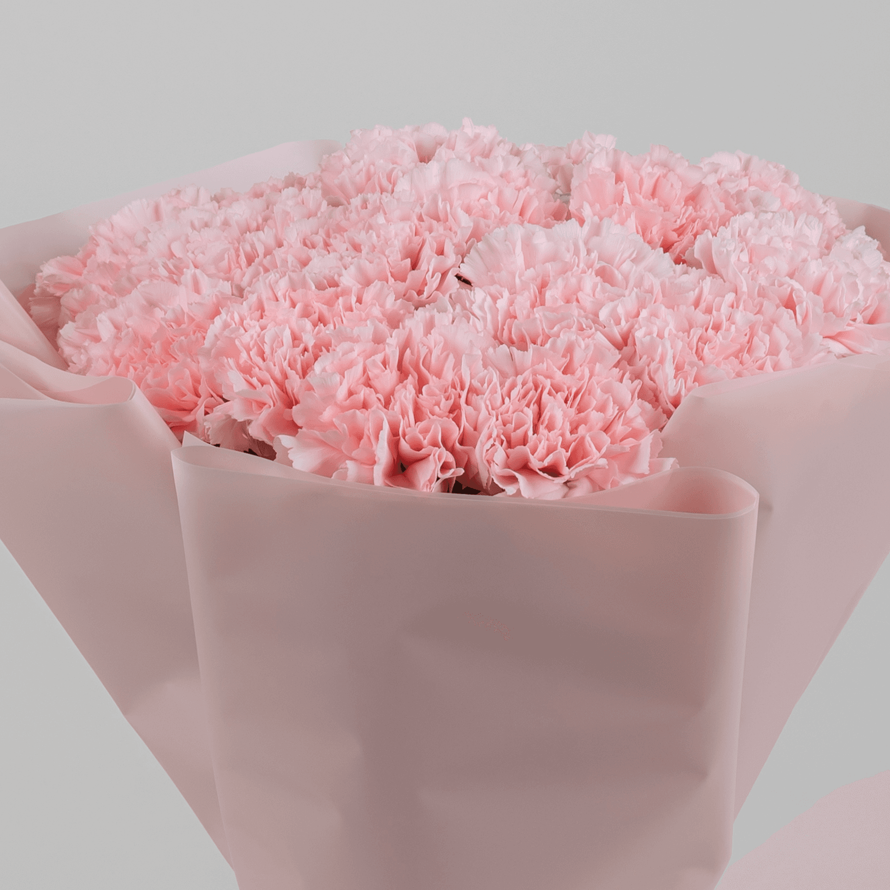 20 Carnation Pink Bouquet