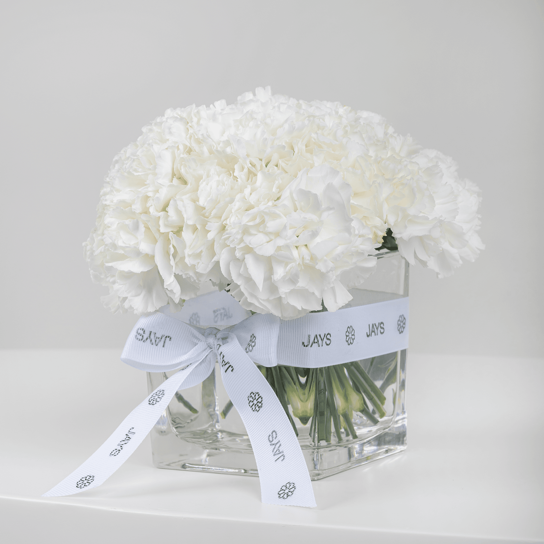 Peace White Carnation Vase
