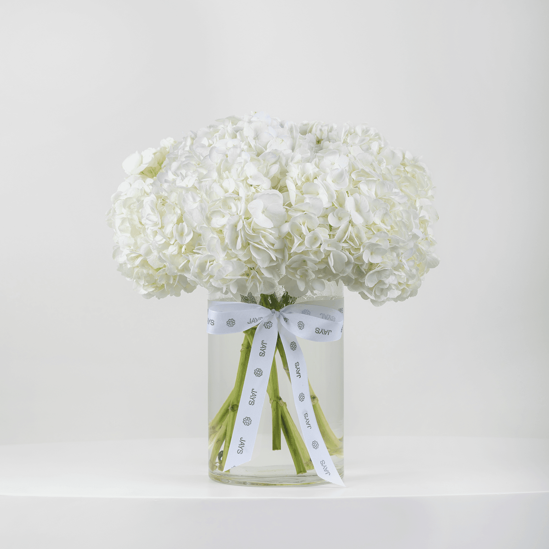 Magical White Hydrangea Vase