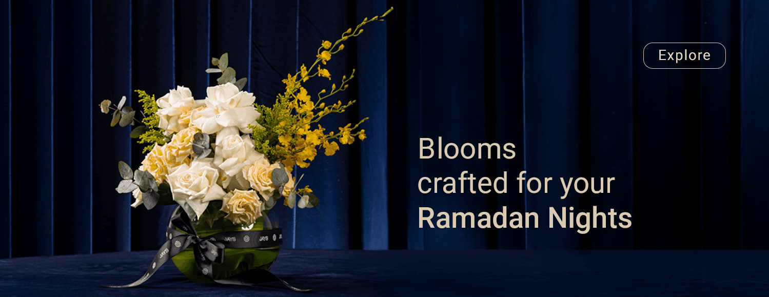 Main banner displaying